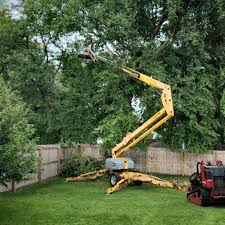 Best Fruit Tree Pruning  in Dover Beaches South, NJ