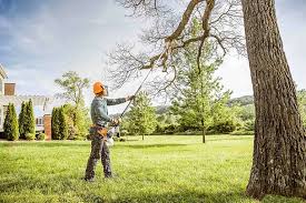 How Our Tree Care Process Works  in  Dover Beaches South, NJ