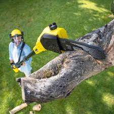 Best Lawn Disease Treatment  in Dover Beaches South, NJ
